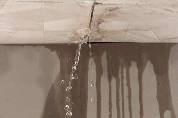 Professional Flood Damage Cleanup technician working in Brethren, MI